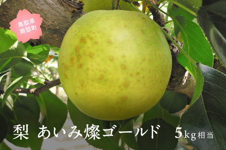 あいみ燦ゴールド [梨]（5kg箱）2026年8月下旬～9月上旬出荷予定＜数量限定＞　二十世紀梨、無袋栽培【先行予約】