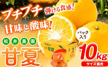 パック入り甘夏 10kg 甘夏