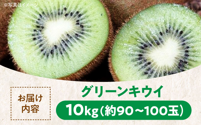 【先行予約】【11月中旬より順次配送】 生産量日本一! グリーンキウイ 10kg （約90から100玉）　キウイフルーツ キウイ フルーツ ヘイワード 果物 くだもの 愛媛県大洲市/玉川農園 [AGB