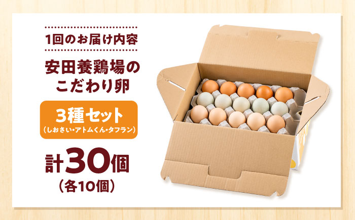 【全3回定期便】安田養鶏場の卵 3種セット しおさい アトムくん タフラン 30個入り（各10個入り） 横須賀市 産地直送 たまご 黄身 濃厚 卵 玉子 タマゴ 鶏卵  【安田養鶏場】 [AKHN01
