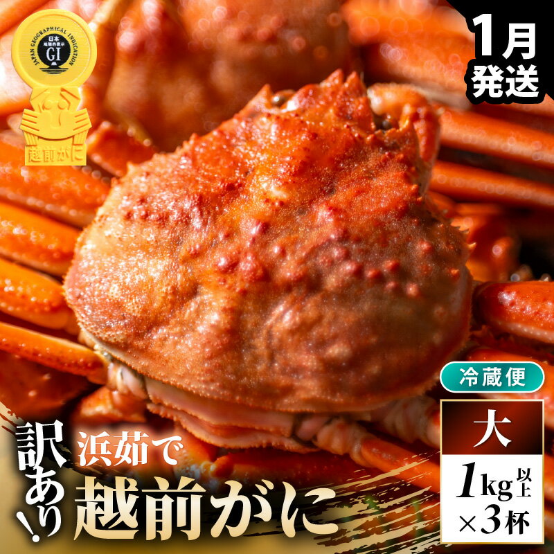 【ふるさと納税】【先行予約】【冷蔵】越前がに 訳あり 足折れ 大 1.0kg以上（茹で前）×3杯【2026年1月上旬以降順次発送予定】
