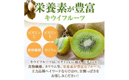 【先行予約】 先行予約！和歌山県産 秀品 キウイフルーツ 大玉15個入 こだわり農家厳選  【2026年12月中旬～2027年1月中旬頃に順次発送予定】/ キウイ キウイフルーツ 果物 フルーツ おや