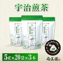 【ふるさと納税】宇治・煎茶ティーバッグ 5g×20個×3袋　〈お茶 茶 煎茶 緑茶 かぶせ茶 飲料 ティーバッグ 煎茶ティーバッグ ティーパック 宇治茶 日本茶 加工食品〉　【お茶 緑茶 宇治煎茶ティーバッグ ティーバッグ 煎茶】