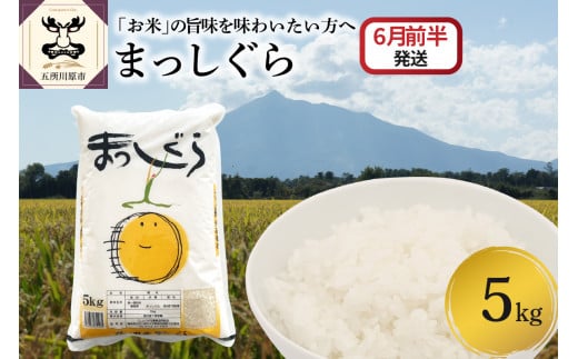 【2026年6月前半発送】まっしぐら5kg（白米）