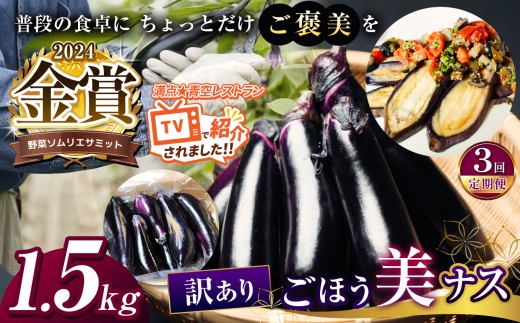 【定期便3回】野菜ソムリエサミット金賞「ごほう美ナス」 訳あり 約1.5kg | 茄子 なす 金賞 きんしょう ごぼう美ナス 約1.5kg 野菜ソムリエサミット 野菜ソムリエ オリジナル ブランド ご褒美 定期便 とろとろ 栃木県 真岡市