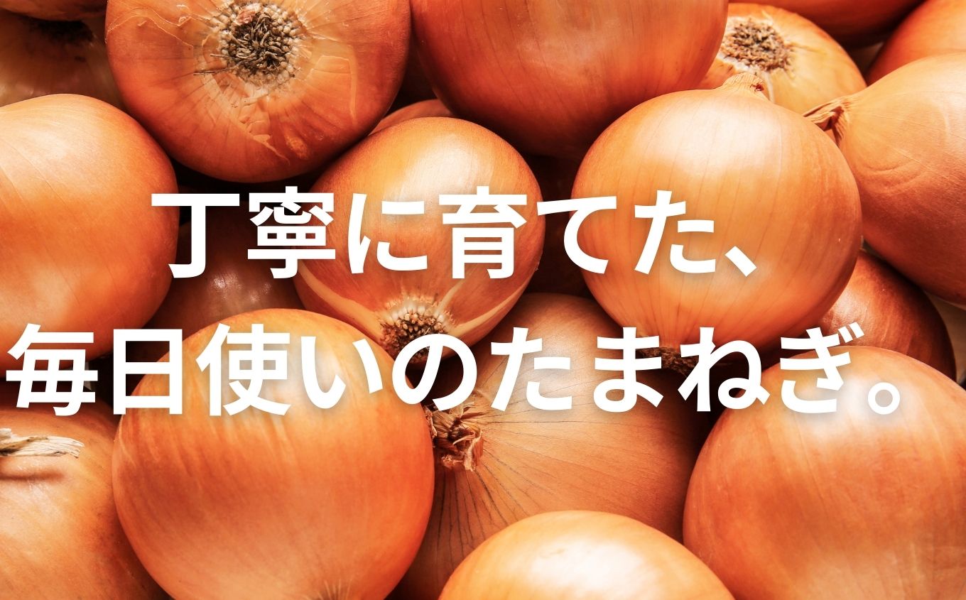 《2026年8月下旬より順次発送》有機たまねぎ10kg たまねぎ 玉ねぎ タマネギ 野菜 食品 やさい 旬 新鮮 産地直送 おすすめ お中元 お歳暮 ギフト 二本松市 ふくしま 福島県 送料無料【西谷