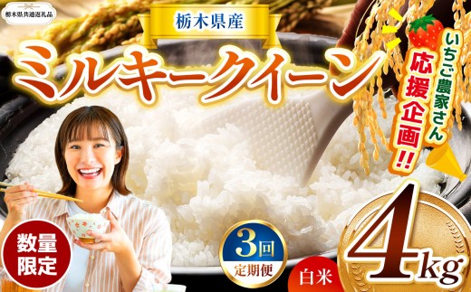 【栃木県共通返礼品】【先行予約】【定期3回】 訳あり 数量 限定 令和8年度産 ミルキークイーン 約 4kg | とちぎの星 ミルキークイーン  玄米 白米 ごはん おいしい  ふるさと納税 那珂川町 栃木県