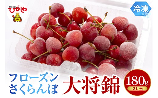 フローズンさくらんぼ 「大将錦」 2L玉 180g入 有限会社佐藤錦 提供 hi029-042