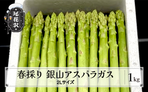 
                  【先行予約】 春採り 銀山アスパラガス 2Lサイズ(極太) 1kg 4月下旬~発送 令和9年産 2027年産 アスパラ アスパラガス 銀山アスパラ グリーンアスパラガス 山形県 山形 尾花沢市 尾花沢 nk-vga2x1
                