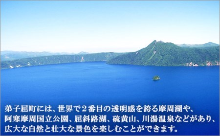 33.幸せのふくろうストラップペアセット 北海道 弟子屈町