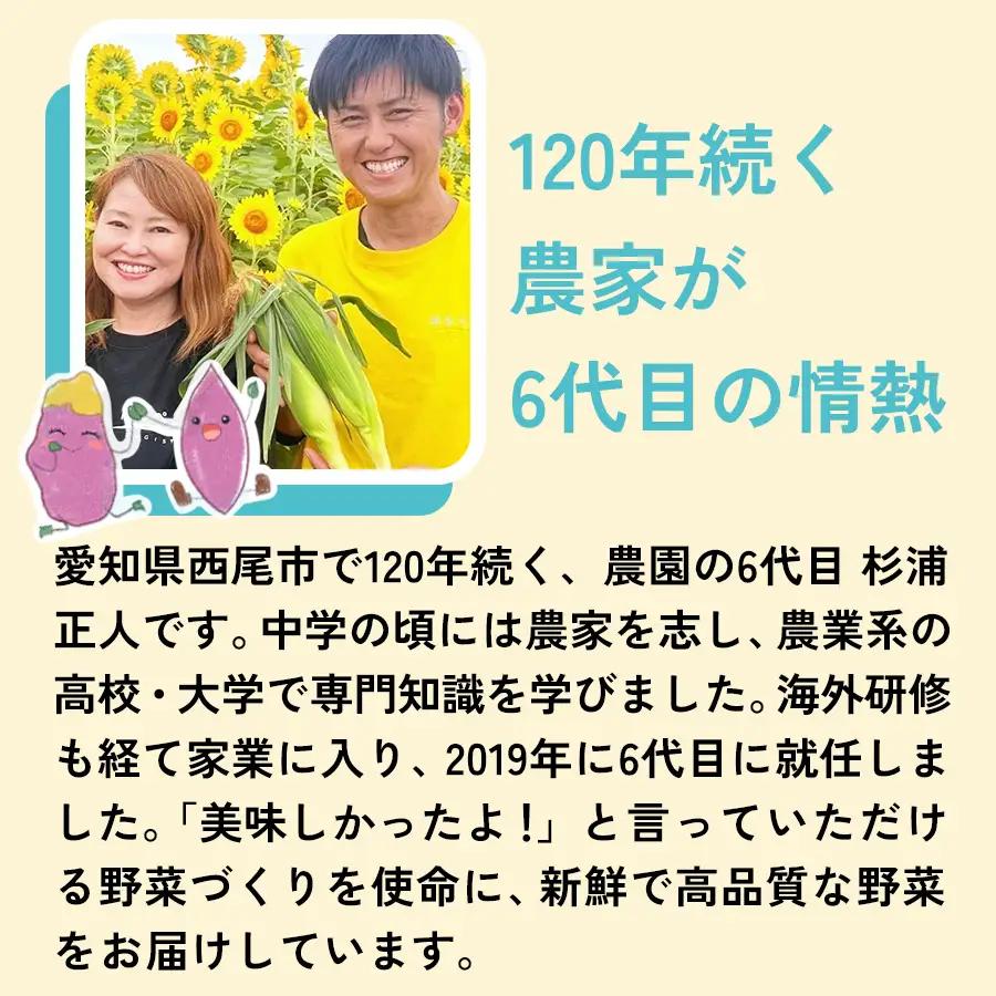  人参『キャロりん』（1.8kg×1箱）・H105