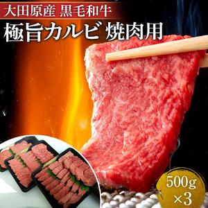 大田原産 黒毛和牛 極旨カルビ 焼肉用　500g×3