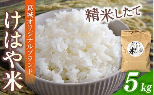 【先行受付】令和7年度産新米 けはや米 精米 5kg ／ 米 お米 白米 新米 精米 ひのひかり ヒノヒカリ 葛城市商工会青年部 奈良県 葛城市【nkss003】
