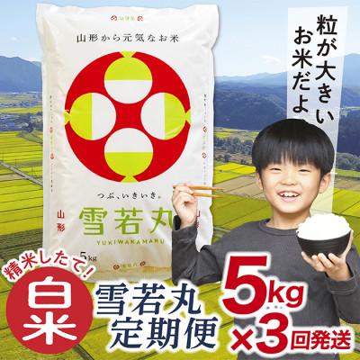 ふるさと納税 最上町 【毎月定期便】買い忘れなしで美味しい雪若丸5kg(白米)が届く全3回