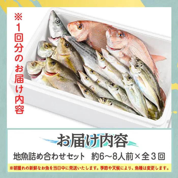 【3回定期便】鮮魚ボックス 鮮魚BOX 地魚 詰め合わせ 約6～8人分 産地直送【マルケイ水産】D09002