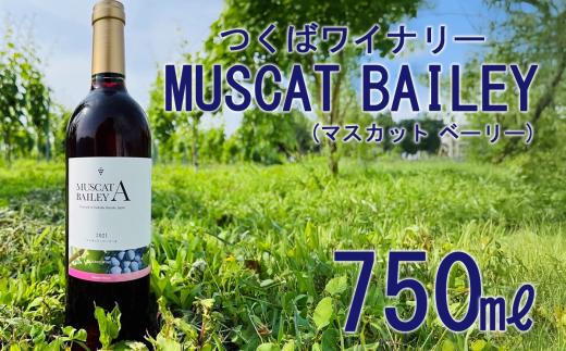 2021つくばワイナリー MUSCAT BAILEY A  【お酒 葡萄 ぶどう ブドウ 茨城県産 つくば市産 ワイナリー】