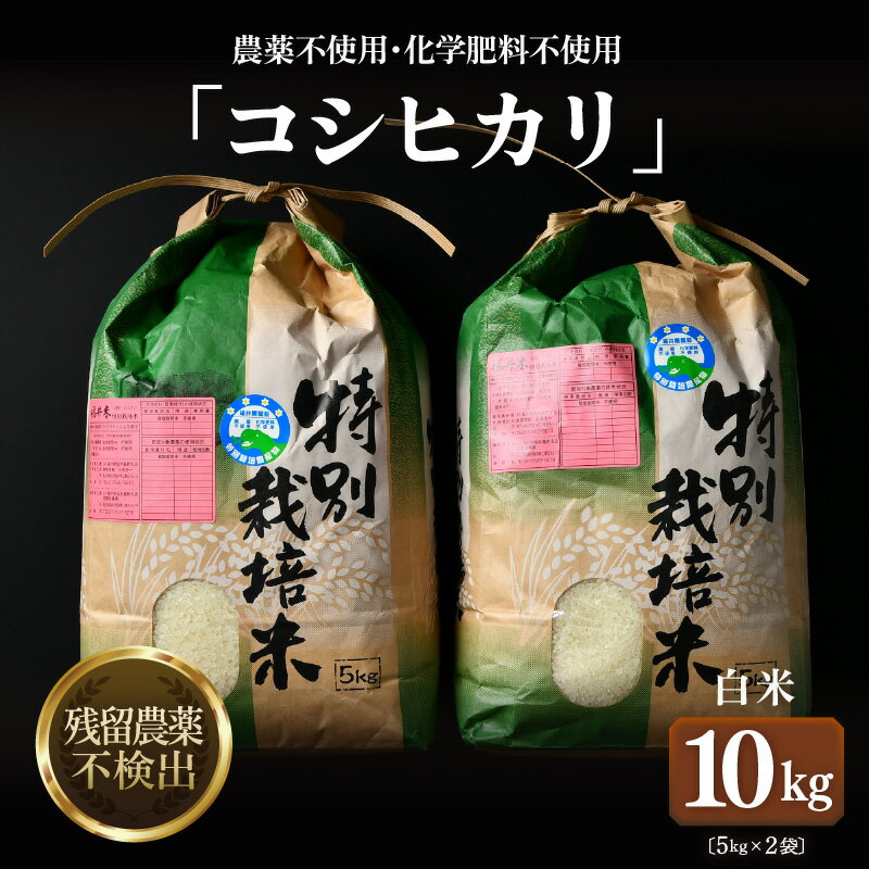 【ふるさと納税】【先行予約】【令和8年産 新米】コシヒカリ 精米 5kg×2袋（計10kg） 特別栽培米 農薬不使用 化学肥料不使用 ／ 米 お米 10kg 10キロ 高品質 福井県産 ブランド米 白米 ※2026年9月下旬より順次発送予定