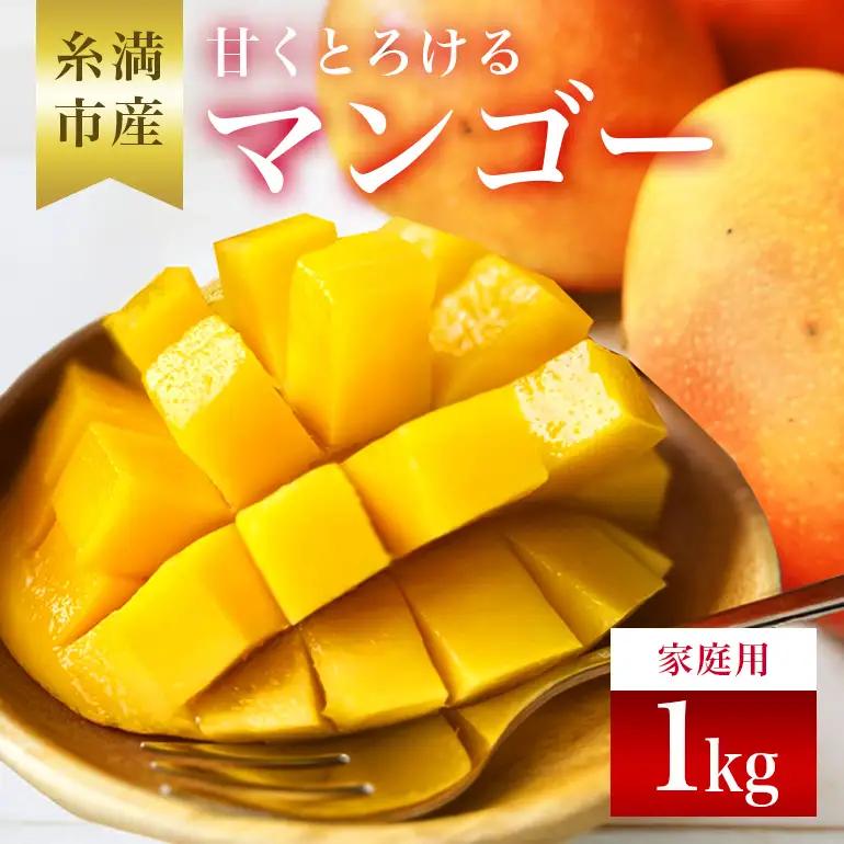 【先行予約 2027年 発送】かねよしマンゴーの甘くとろける マンゴー 1kg 家庭用 沖縄県産 アップルマンゴー アーウィンマンゴー 国産 完熟マンゴー 果物 南国 くだもの フルーツ 完熟 夏 旬 特産品 沖縄 お取り寄せ お土産 甘い 濃厚 糸満市 93-9