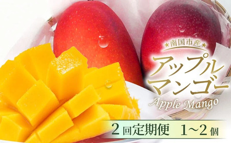 【2回定期便】完熟アップルマンゴー 1～2個 500g 【マンゴーマンゴーマンゴーマンゴー】