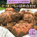 【ふるさと納税】※数量限定※【先行予約】自然栽培のさつまいも 約3kg 2〜3品種 農家直送 芋 詰め合わせ 多治見市 / ほたるファーム [TEB003]