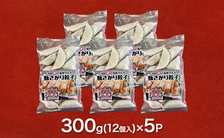 餃子 豚さがり餃子 上富良野高校コラボ 冷凍 餃子【12個入×5パック】【冷凍】