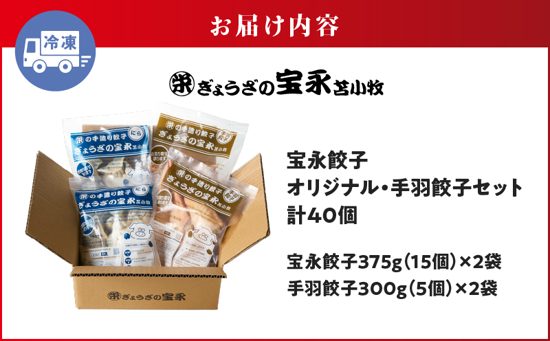 手包み餃子 ぎょうざの宝永 手羽餃子40個セット（宝永餃子15個入×2袋・手羽餃子5個入×2袋）　T004-006-02