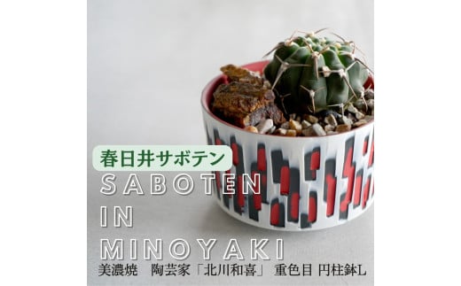 【ふるさと納税】多治見市×春日井市コラボ 【美濃焼】 陶芸家「北川和喜」 重色目 円柱鉢L × 【日本有数のサボテン産地】 春日井市の名店 後藤サボテン