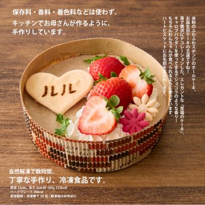 ふるさと納税 世田谷区 ＜ペットフード＞米粉で作った至福のケーキ-ショコラッティ-【Kitchen Dog!】 |  | 01