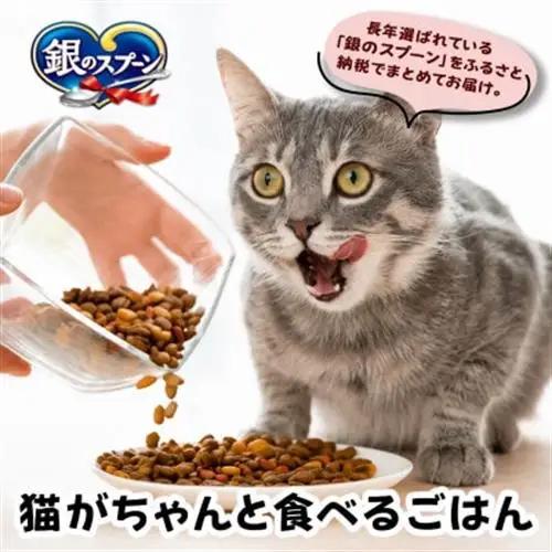 銀のスプーン 贅沢うまみ仕立て 食事の吐き戻し軽減フード ささみ・緑黄色野菜入り 1.1kg×6袋【1732799】