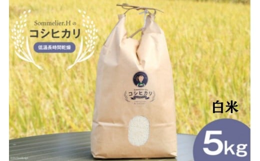 【令和6年産】減農薬 上市町湯神子産コシヒカリ（白米）5kg　 [ソムリエH 富山県 上市町 32280232-r6-02] 　お米 コメ ご飯 ごはん 玄米ご飯 玄米ごはん こしひかり