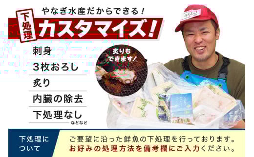 【定期便】どんちっち浜田【至高】の鮮魚 10回～最高級この男シリーズ～ 【2039】