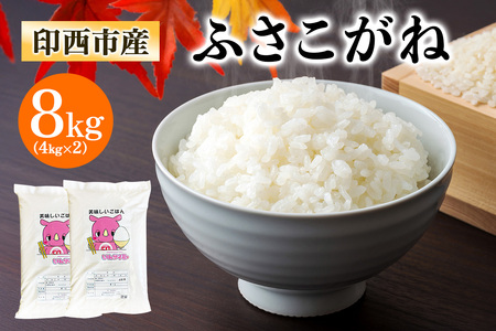 新米 ふさこがね 令和7年産 印西市産 美味しいごはん 8kg 精米 [0522]
