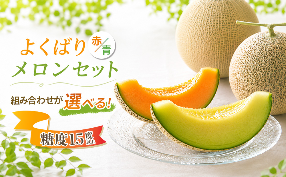 糖度15度以上 !! 宇陀市産 選べる組み合わせ！よくばりメロ