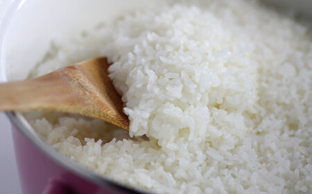 【令和7年産】【無洗米】有機JAS 七城産 ひのひかり 4kg(2kg×2袋) st-p《30日以内に出荷予定(土日祝除く)》