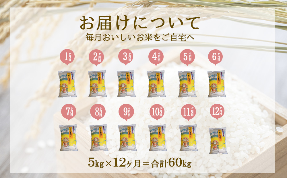 【令和7年産先行予約】【年間定期便】えびの産 ひのひかり 5kg×12ヶ月 合計 60kg 米 定期便（2025年11月発送開始予定）お米 おにぎり お弁当 TKG ヒノヒカリ 九州 宮崎県 特選米 