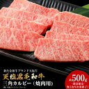 【ふるさと納税】 黒毛和牛 三角カルビ（焼肉用） 500g 牛肉 三角バラ 希少部位 貴重 上カルビ 特上カルビ 国産 北海道産