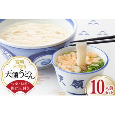 ふるさと納税 日向市 天領うどん(つゆねぎ揚げ玉付き)10人前