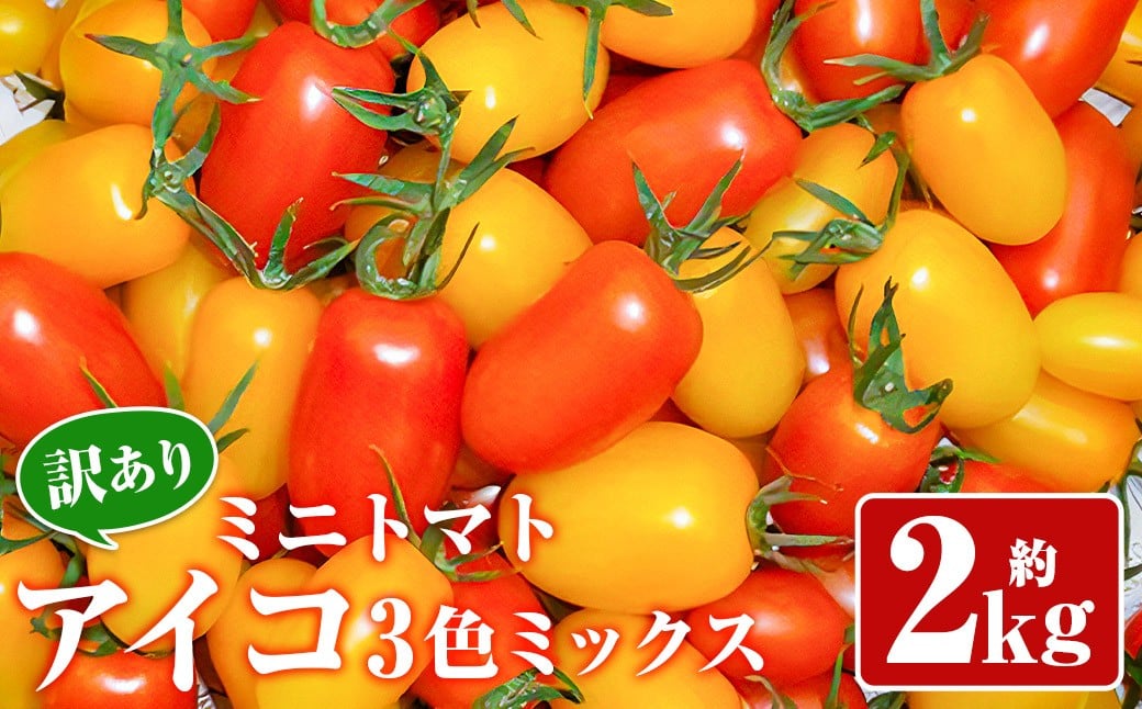 
                  【訳あり】ミニトマト『アイコ』3色ミックス 約2kg【2026年7月下旬～8月下旬発送予定】／ミニトマト トマト フルーツトマト レッド イエロー オレンジ 野菜 直送 岩手県 二戸市
                