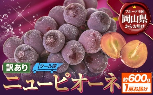 【先行予約】訳あり ニューピオーネ 約600g 1房 ブドウ 葡萄 果物 秋旬 訳あり 優品 厳選出荷 フルーツ デザート 岡山県 浅口市《8月下旬-10月中旬頃出荷》ニューピオーネ