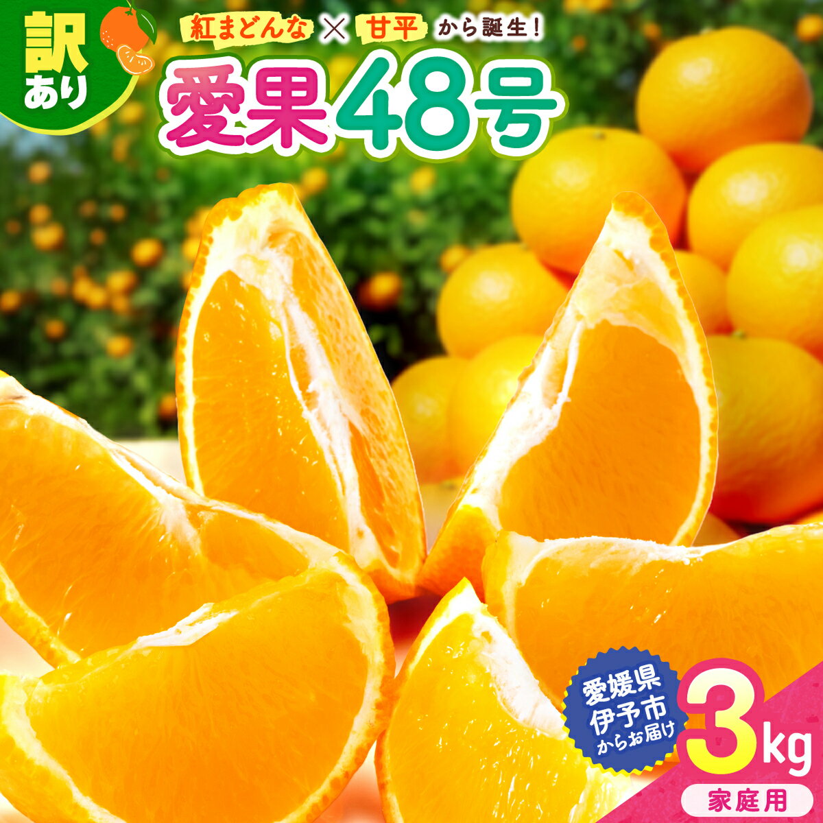 【ふるさと納税】【2027年先行予約】愛果48号 3kg 訳あり ご家庭用 【2027年3月上旬発送予定】 農園直送 みかん 愛媛 人気 数量限定 柑橘 伊予市｜B444