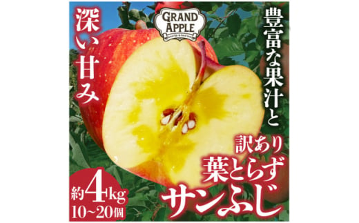 〈令和6年産先行予約〉産地直送　葉とらずサンふじ　訳あり　約4kg【1428763】