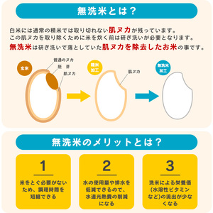《先行予約》令和8年産 新米 無洗米 ミルキークイーン 8kg（4kg×2袋）山形県産 【2026年9月下旬頃から順次発送予定】　026-C-JF033-R8