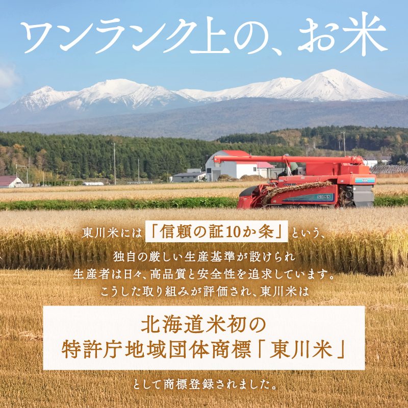 【R７年産米】【6ヵ月定期便】東川米ななつぼし「無洗米」10kg（2026年8月中旬より発送予定）