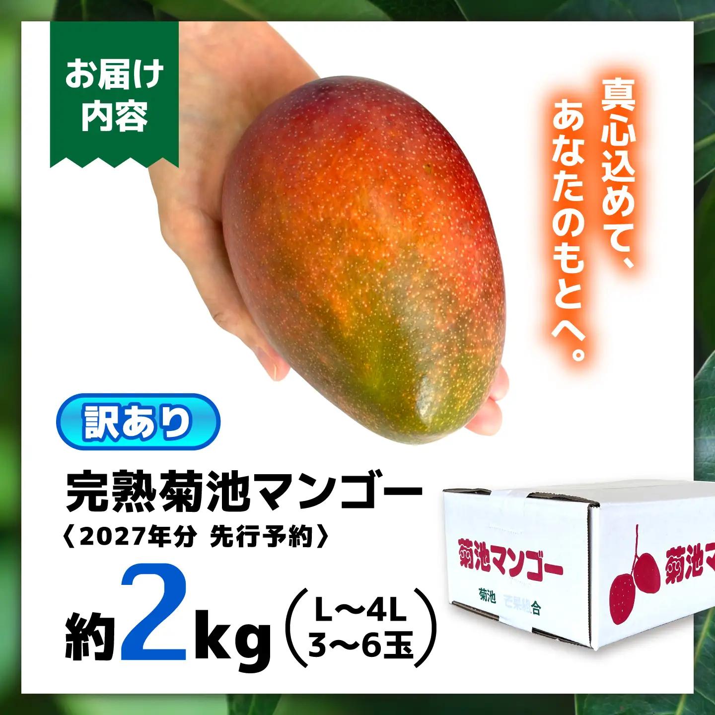 【2027年6月上旬から順次発送】友枝マンゴー農園の完熟訳ありマンゴー約2kg AYDF002