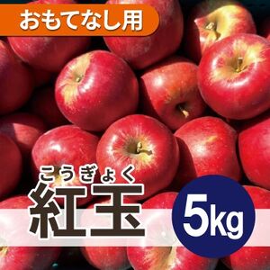 【25年11月出荷予定】 紅玉 約5kg おもてなし用【配送不可地域：離島・沖縄県】【1667973】