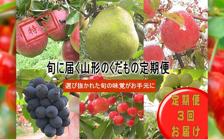 
                  【定期便3回】旬に届く山形のくだもの定期便【令和8年産先行予約】FS25-130
                