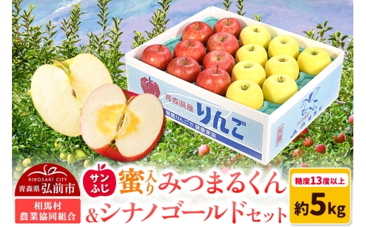 【26年11月～発送】りんご 蜜入り サンふじ（みつまるくん）＆シナノゴールド セット 約 5kg 先行受付 [先行予約 アップル おいしい シナノ シナノゴールド セット セット品 ふじ りんご 黄色 果実 果物 赤色 美味 林檎]