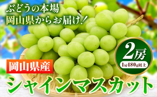 254.【先行予約】 岡山県産 シャインマスカット 2房 (480g以上) 【配送不可地域あり】 《7月上旬-8月下旬頃に出荷予定(土日祝除く)》 岡山県 矢掛町 マスカット ぶどう 葡萄 果物 フルーツ