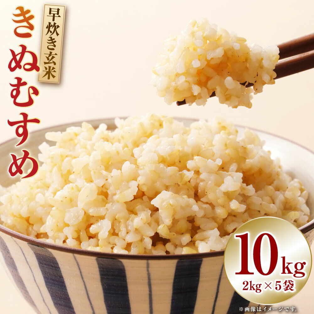 【ふるさと納税】【令和7年産】岡山県産きぬむすめ 早炊き玄米 計10kg（2kg×5袋） きぬむすめ お米 米 こめ コメ 玄米 単一原料米 ごはん ご飯 岡山県産 国産 岡山県 美咲町 送料無料