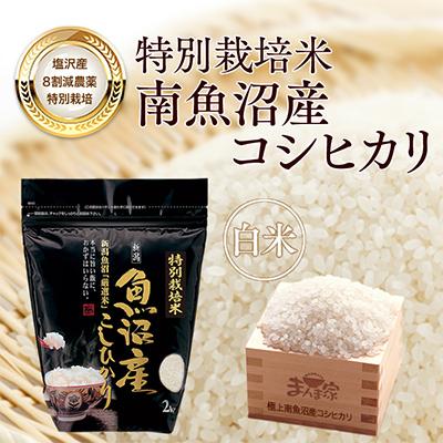 ふるさと納税 南魚沼市 【毎月定期便】特別栽培米「南魚沼産コシヒカリ」精米8kg 全3回